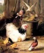 unknow artist Hen chicken and pigeon oil